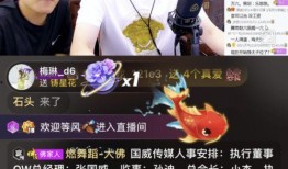 忠哥带货爆料视频大全集,视频大全集深度解析